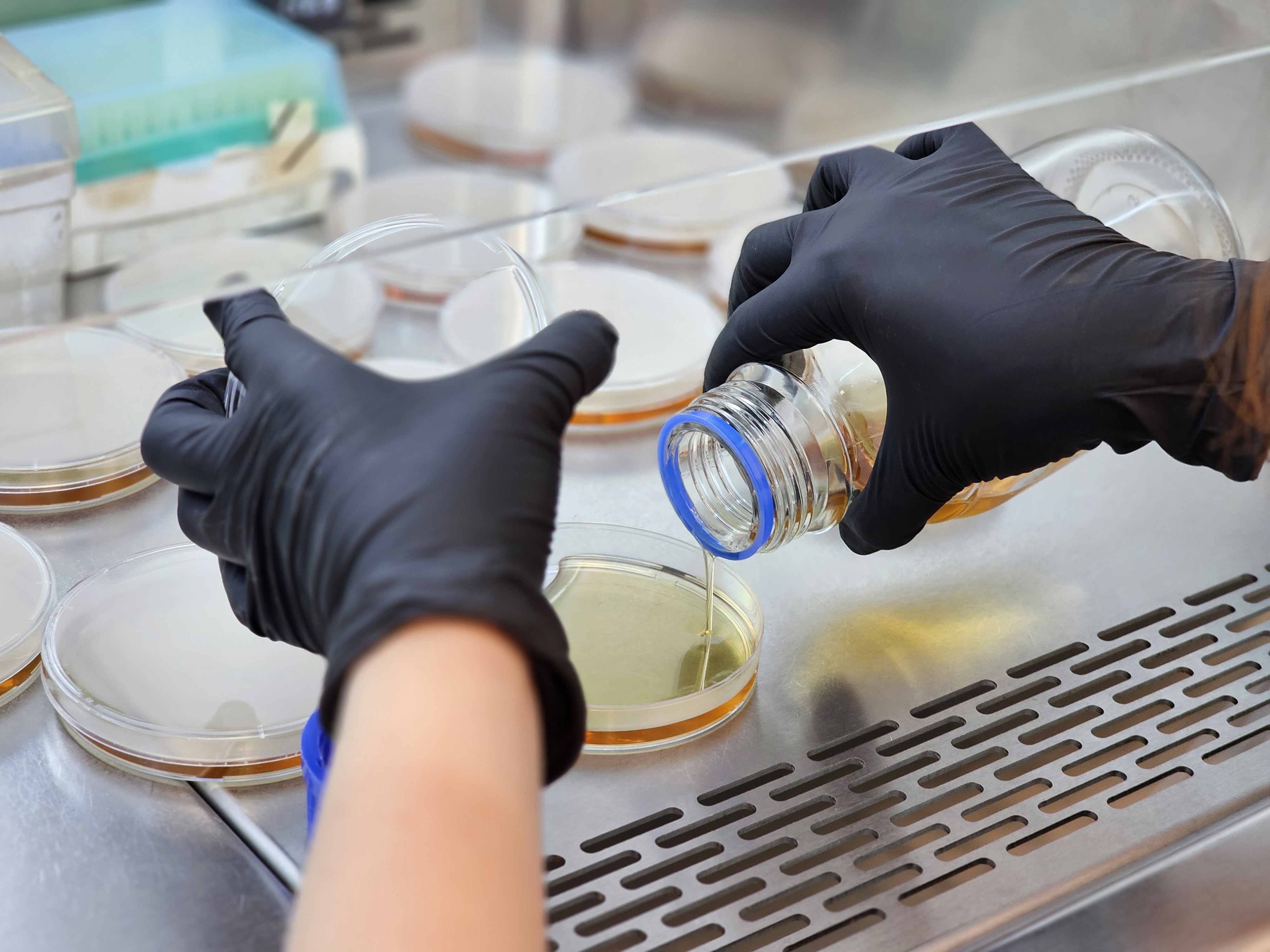 Students working in a lab